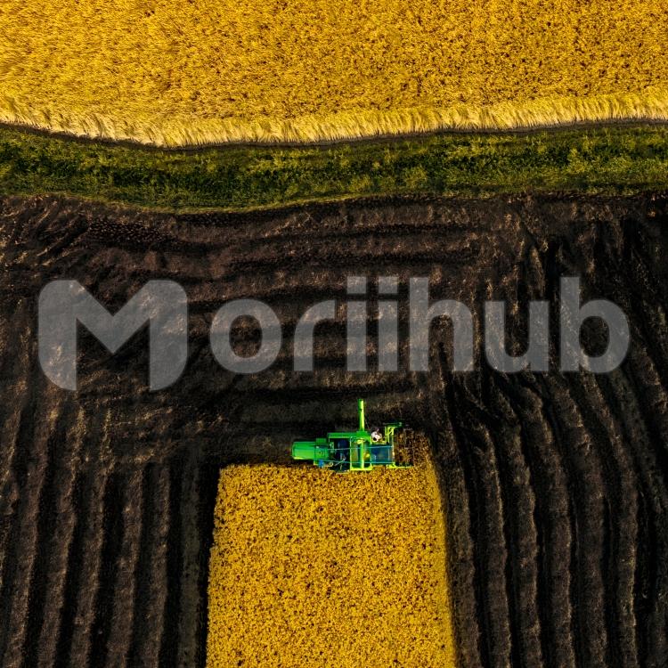 Agricultural Harvest