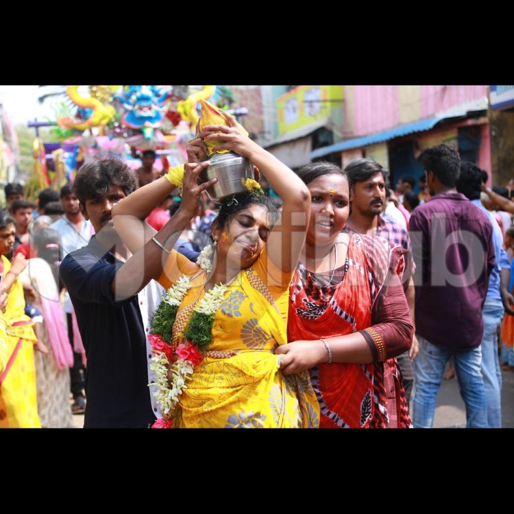 Vibrant Tradition
