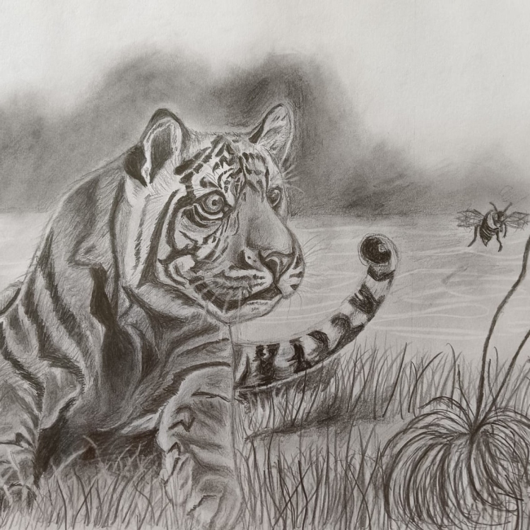 The Inquisitive Cub