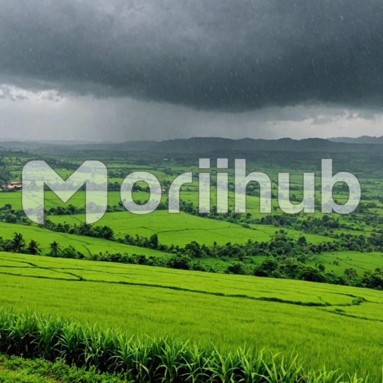Looming Rain